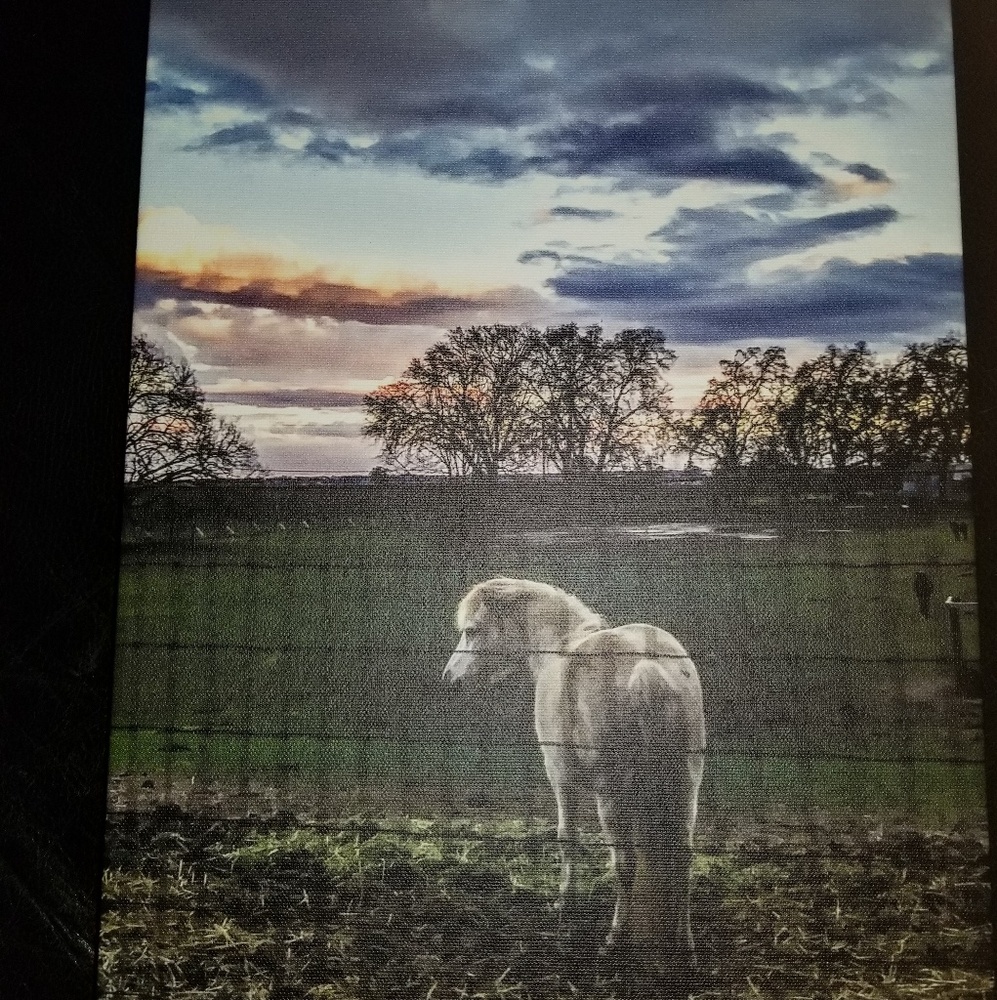 11x14 satin 1.5 personalized canvas(brand new)